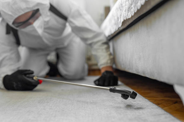 Professional Mosquito Control technician working in Alpha, NJ