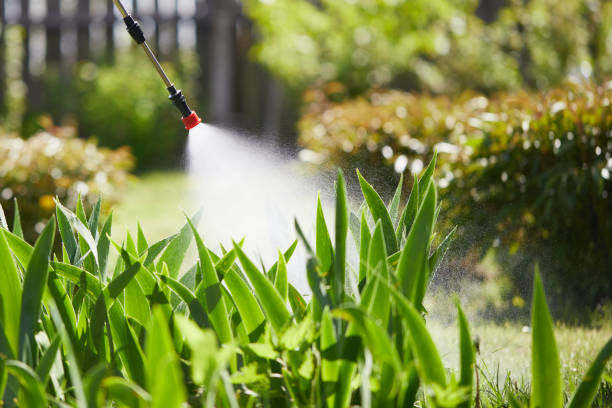 24/7 Emergency Mosquito Control experts in Alpha, NJ
